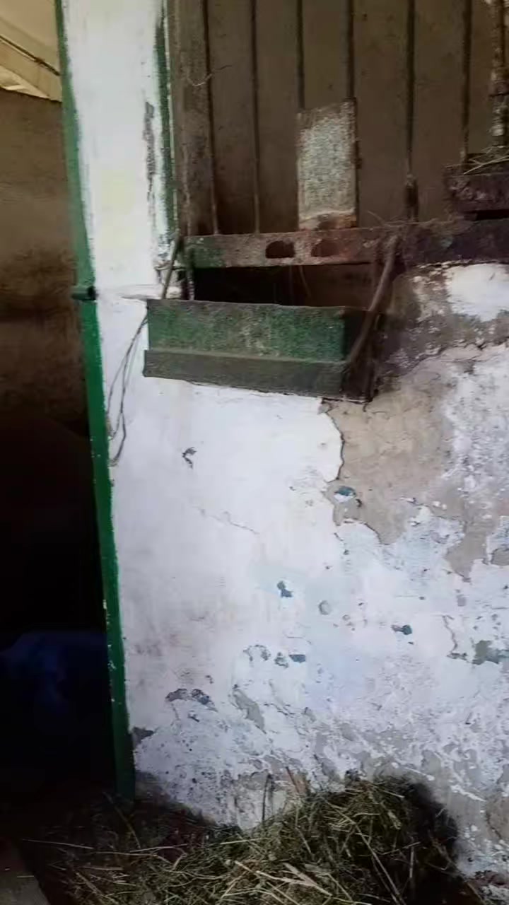 Сумщина незламний форпост